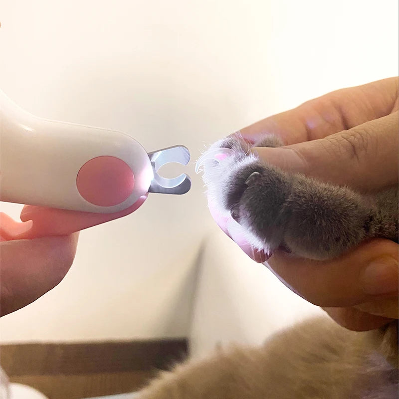 LED-ljus katt & hund kloklippare professionell husdjur