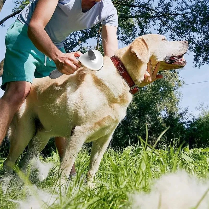 Hundborste & Kattkam – Självrengörande hårborttagningsborste