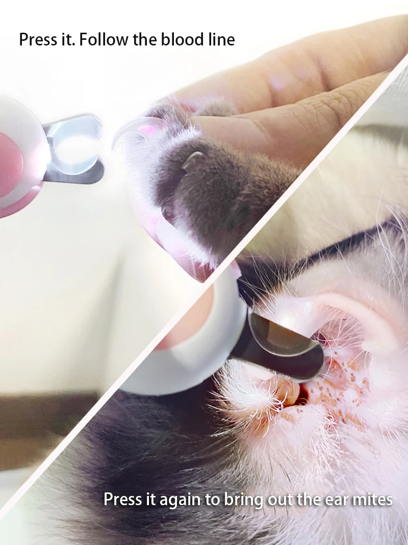 LED-ljus katt & hund kloklippare professionell husdjur